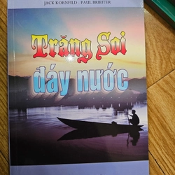Trăng soi đáy nước 