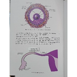 Thụ tinh nhân tạo - Nhiều tác giả 1004316