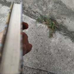 Ngọn lửa Nga tập thơ của Nikolai Rubtsov 1003435