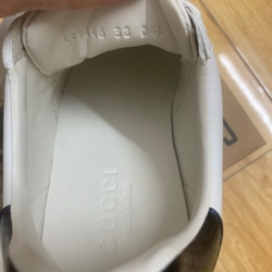Giày Gucci trắng 459899