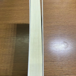 Phụ nữ hơn nhau ở khí chất Jessica Honegger 378242