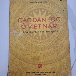 Các Dân Tộc Ở Việt Nam (Dẫn liệu nhân học - tộc người) - Nguyễn Đình Khoa 931787
