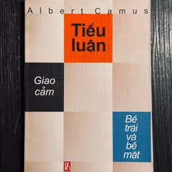 Tiểu luận giao cảm bề trái và bề mặt 