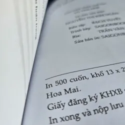 Các Ý Tưởng Về Chủ Nghĩa Tư Bản - Kornai János (Đọc mô tả!) 575254