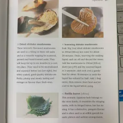 SUSHI TASTE AND TECHIQUE (SUSHI HƯƠNG VỊ VÀ KỸ THUẬT) - KIMIKO BARBER & HIROKI TAKEMURA 690014