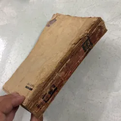 Ruồi trâu - 1984s 1022065