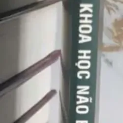 Khoa Học Não Bộ Và Thiền Chánh Niệm - Quán Như Phạm Văn Minh 737344