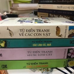 Từ điển tranh 4 cuốn (o4)  471927
