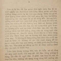 Hàm cá mập 470451