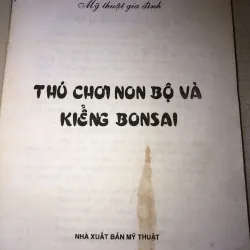 Thú chơi non bộ và kiểng bonsai 970620