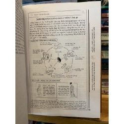 Chiếu đảm kinh -Tử Phủ chân Nhân 786285
