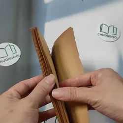 [XƯA] Bí Mật Đại Não (1982) - BS. Cao Trường Thọ 775987