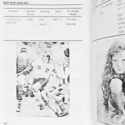 Nhiếp ảnh nghiệp dư (Nghệ thuật nhiếp ảnh) 8111