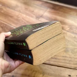 Combo Sách Tác Giả Gillian Flynn - Dark Places & Sharp Object (Sách Nguyên Tác Tiếng Anh) 728430