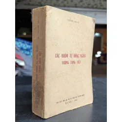 Các nhóm từ đồng nghĩa trong tiếng việt - Nguyễn Văn Tu