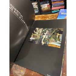 Belt Collins HongKong 1006758