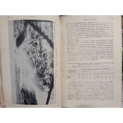 Wind waves at sea breakers and surf 788204