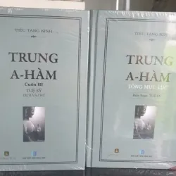 Tiểu Tạng Kinh Trung A-Hàm Bộ 1-3 - Tuệ Sỹ 704361