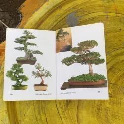 CẨM NANG BONSAI BỎ TÚI - DAVID PRESCOTT & COLIN LEWIS 759679