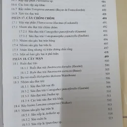 CÔN TRÙNG NHỆN GÂY HẠI CÂY ĂN TRÁI....  799628