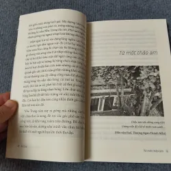 Ở NHA TRANG SÓNG TỰA NHƯ MÂY 727134