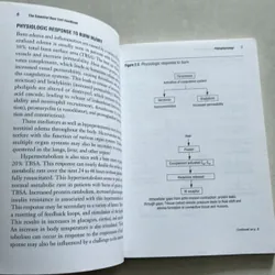 The Essential Burn Unit Handbook - Jeffrey J.Roth  687543