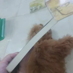Gió lạnh đầu mùa hcm 1068302