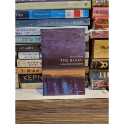 THE BRAIN : A Very Short Introduction - Michael O'Shea