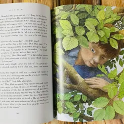 Roald Dahl Collection (Sách nhập) - 20 quyển sách màu - Khổ to A4 937275