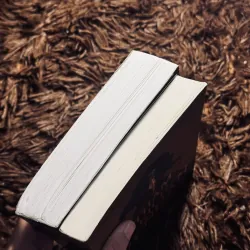 Combo 2 tác phẩm Hoàng Minh Tường 1020725