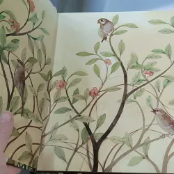 [Tặng nẹp góc] Truyện thiếu nhi Hàn Quốc: Moyamo Anu 37 -  모야모 아누와: 다정한 오누이 732034