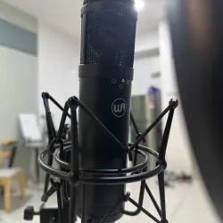 WA Microphone Jr