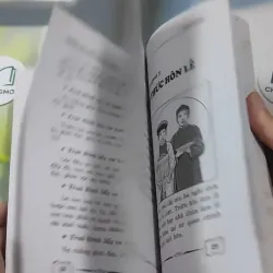 Phong Tục Dựng Vợ Gả Chồng - Như Hùng 727386