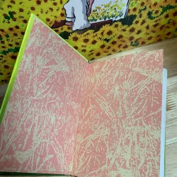 Đất Rừng Phương Nam - Đoàn Giỏi 926305