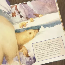 ✨𝑰𝒄𝒆 𝑩𝒆𝒂𝒓𝒔✨ 749617