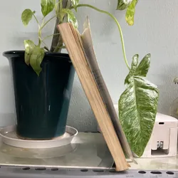 Ngủ ngon hẹn mai nhé - Nagira Yuu - [80-> 20] 736378