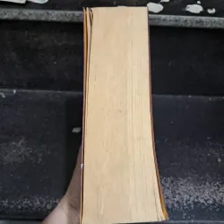 Truyện ngắn chọn loc- Thái Bá Tân 999263