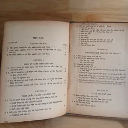 Loại Hình Các Ngôn Ngữ & Nghiên Cứu Về Chữ Nôm 736945