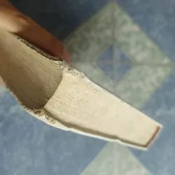 Tìm hiểu điển tích truyện Kiều - Phạm Đan Quế 564831