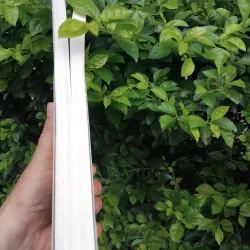 Kim thiếp vũ môn tiểu thuyết lịch sử của Trần Gia Ninh  992853