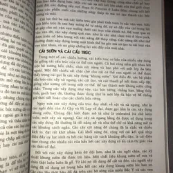 Tìm hiểu nghệ thuật thị giác 720311