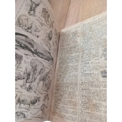 Nouveau petit larousse illustré 122487