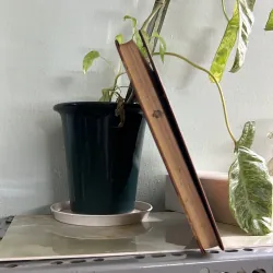 Tiếng nga - xuất bản 1986 746143