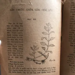 Cây thuốc gia đình - Đỗ Huy Bích  1010155