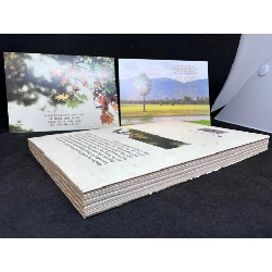Thương - Nguyễn Bảo Trung (có thơ viết tay + chữ ký tác giả) New 80% SBM2604 Oreka-Blogmeo 63187