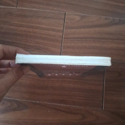 Lạc rừng - trung trung đỉnh 523200