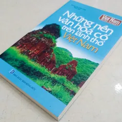 Những nền văn hóa cổ trên lãnh thổ Việt Nam 🌻 675373