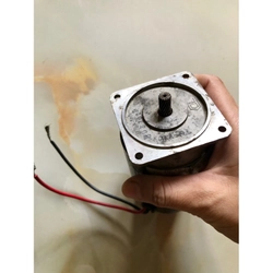 Motor DC 0-100V NHẬT 279657