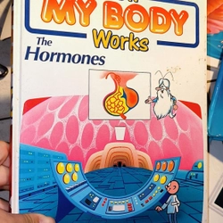 Sách tiếng Anh cho trẻ tìm hiểu về hormones - series How my body works