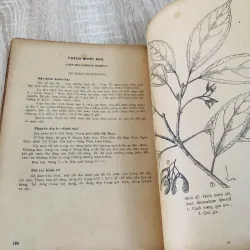 CÂY GỖ RỪNG VIỆT NAM ( tập 2,4,5,6) 956969